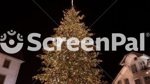Christmas December Winter Holidays Celebrations Background